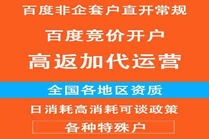 成功案例揭秘：信息流开户返点的成功之道